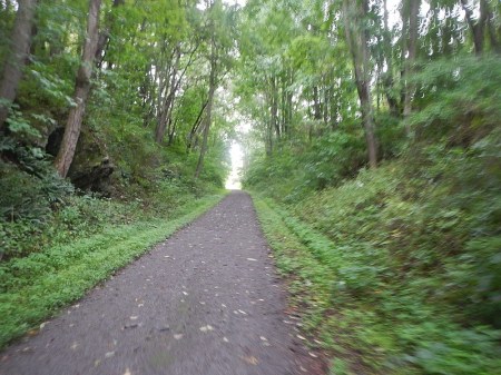 New River State Park Trail