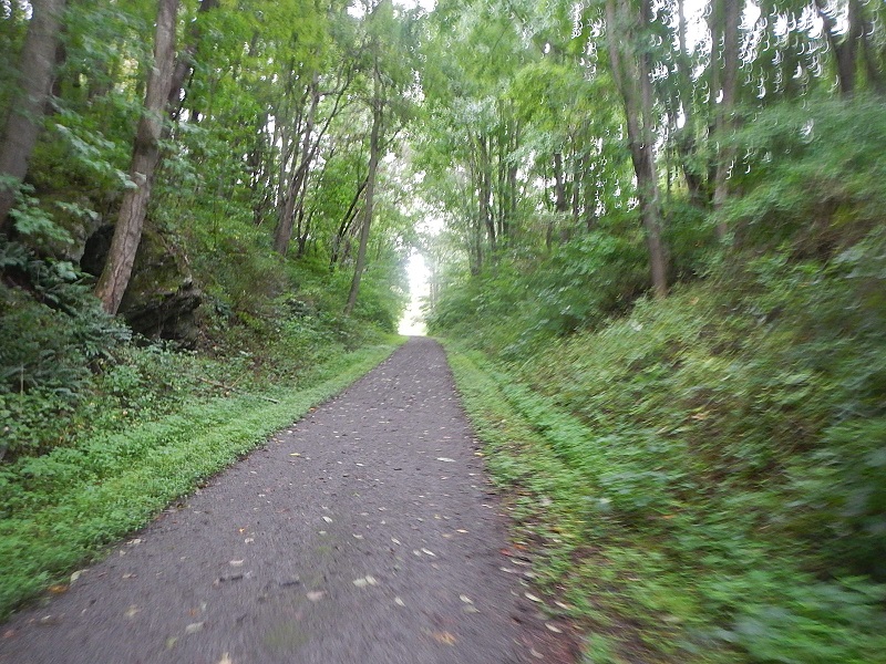 New River State Park Trail