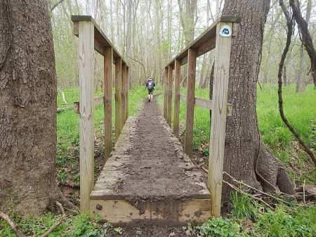 A bridge from the race that was taller than me.