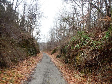 New River State Park Trail