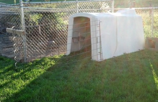 calf hutch