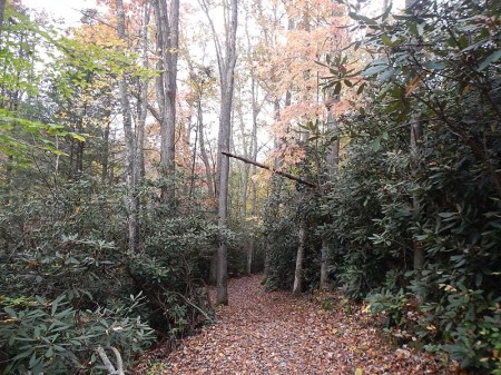 Hungry Mother State Park Lake Loop Trail