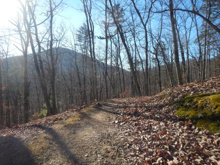 Frozen Toe 10K trail race mountain junkies