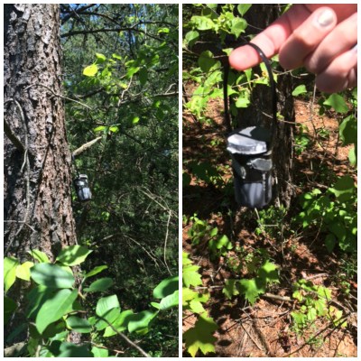 geocache Collage1