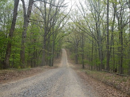 Horse Nettle Trail Pandapas Pond Poverty Creek Trail System