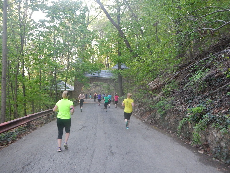 2014 Blue Ridge Half Marathon