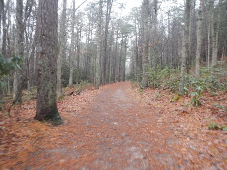 Pandapas Pond Poverty Creek Trail System Jefferson National Forest