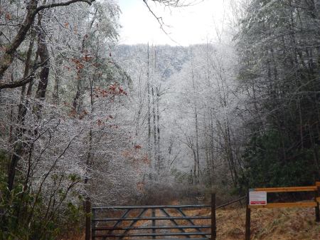 Trail Running Draper Mountain