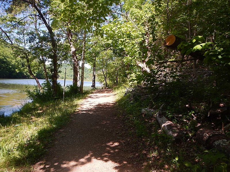 Hungry Mother State Park Trails