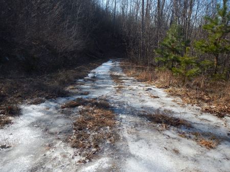 Draper Mountain Trails Trail Running