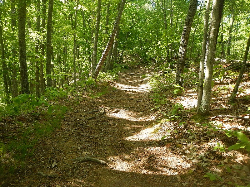 Horse Nettle Trail Poverty Creek Trail System Pandapas Pond