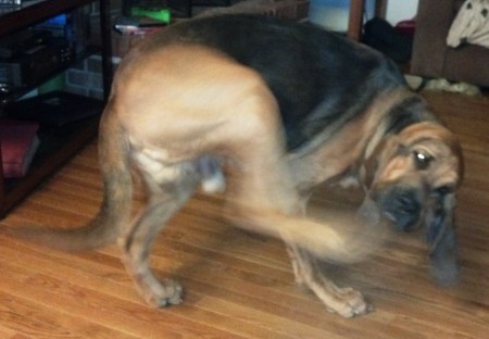 IMG_20140226_182217_538