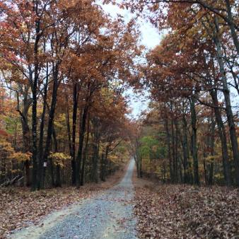 11025796_10103857372596253_2843175352079763548_n