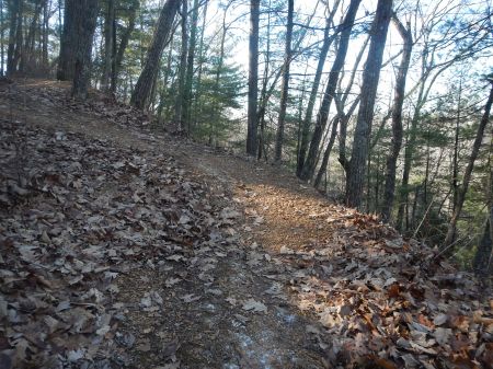 Draper Mountain Trails trail running