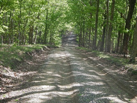 Horse Nettle Trail Poverty Creek Trail System Pandapas Pond