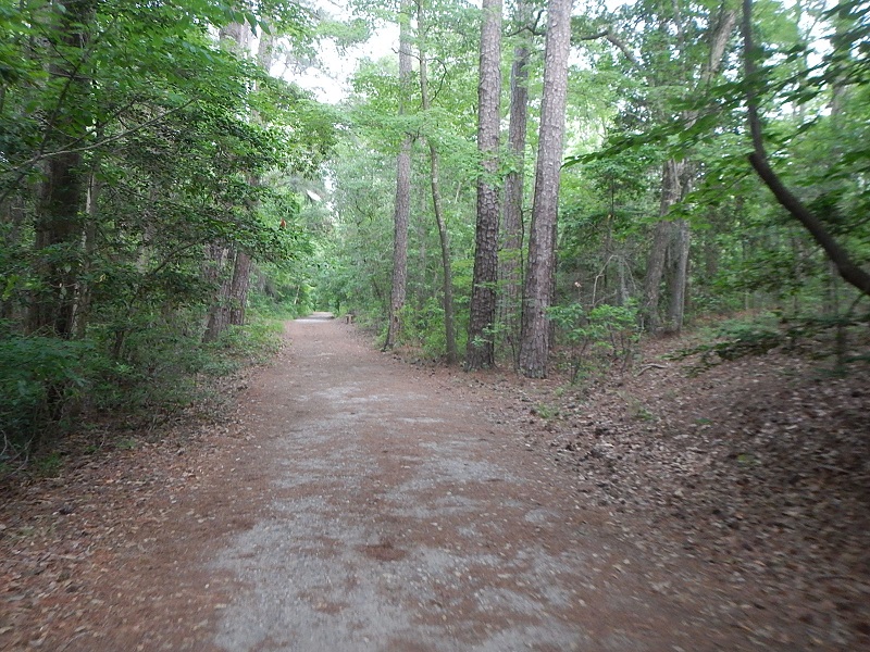 First Landing State Park Cape Henry Trail
