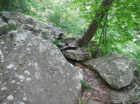 Appalachian Trail Angels Rest 