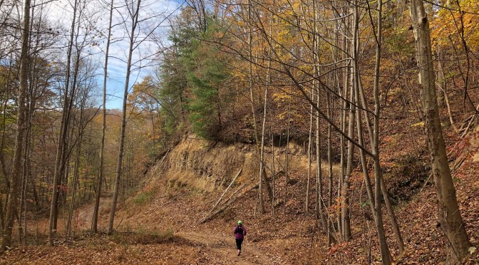 Old Glory Trail Runs – Race Report