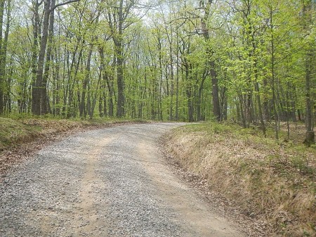 Horse Nettle Trail Pandapas Pond Poverty Creek Trail System