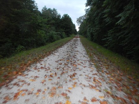 High Bridge Trail Sate Park