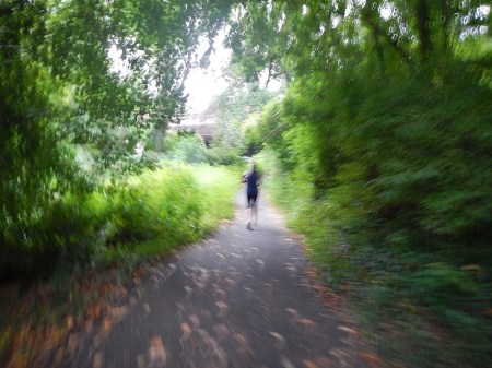 2014 DC Ragnar Relay