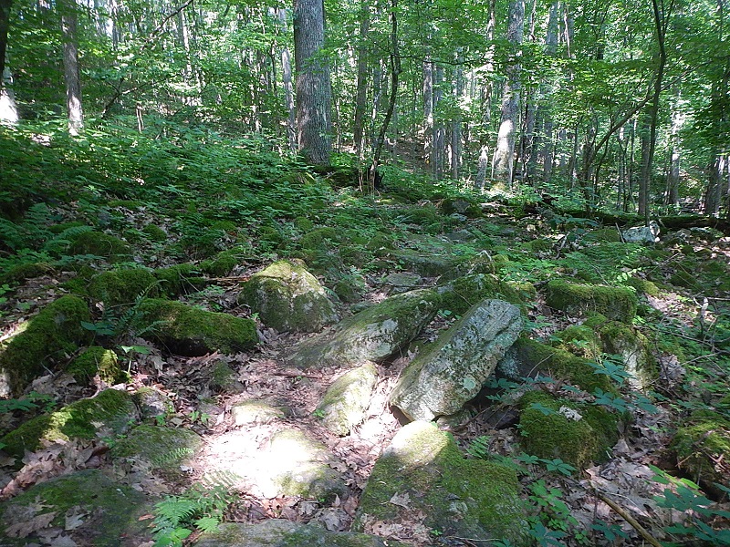 Jefferson National Forest Wolf Creek Day Use Area