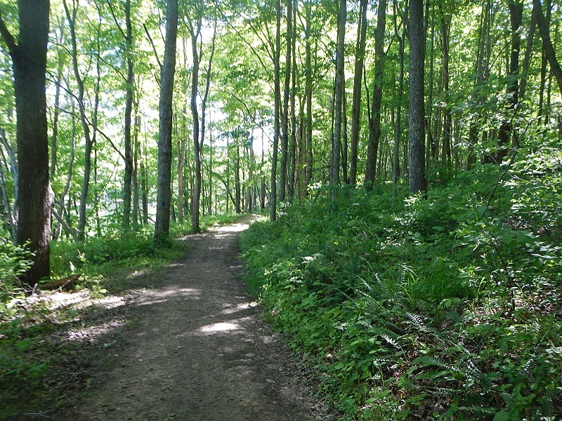 Hungry Mother State Park Trails
