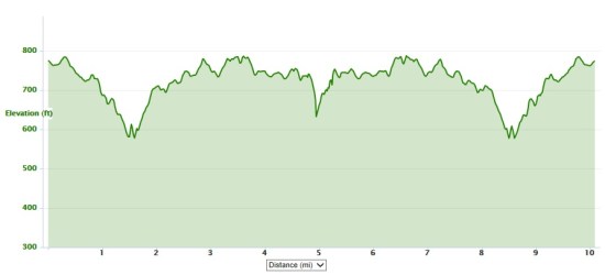 Virginia 10 Miler course elevation profile