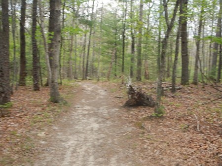 Poverty Creek Trail Pandapas Pond