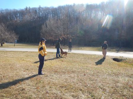 Blue Ridge Bloodhound Search & Rescue Bloodhound Man Trailing Bloodhound tracking