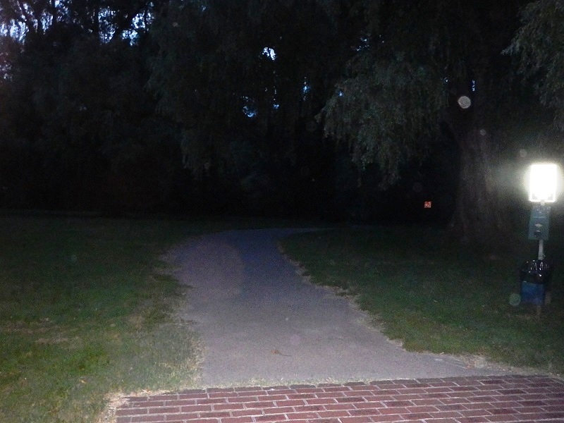 Bisset Park Radford