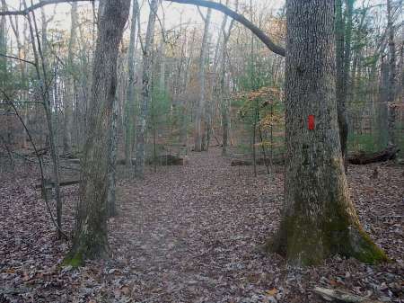 Claytor Lake State Park