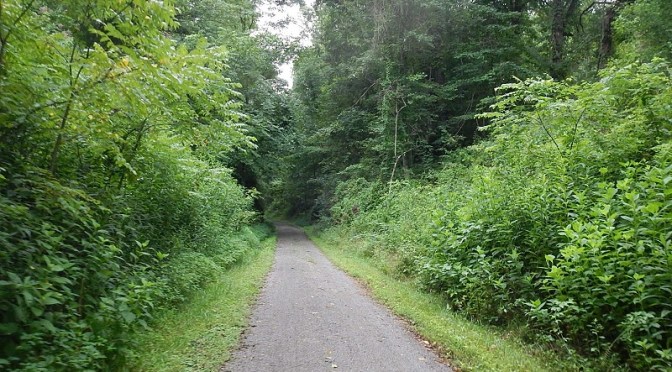 New River State Park Trail