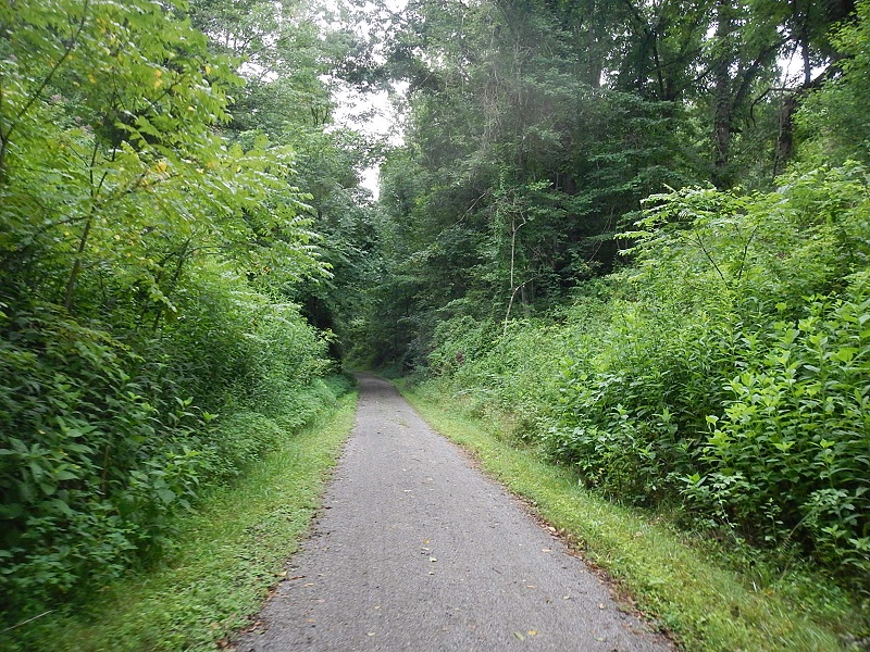 New River State Park Trail