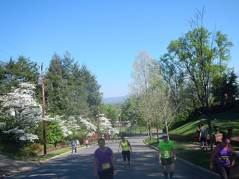 2014 Blue Ridge Half Marathon