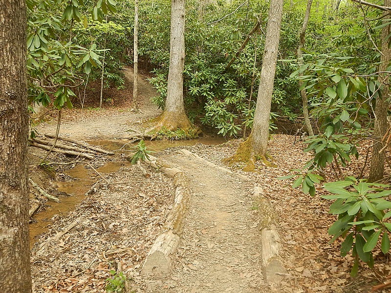 Horse Nettle Trail Poverty Creek Trail System Pandapas Pond