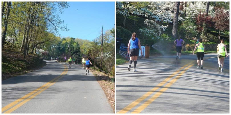 Blue Ridge Half Marathon Peakwood