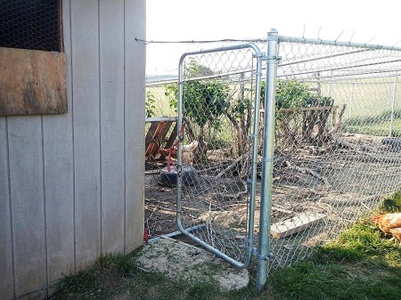 Chicken coop chicken run