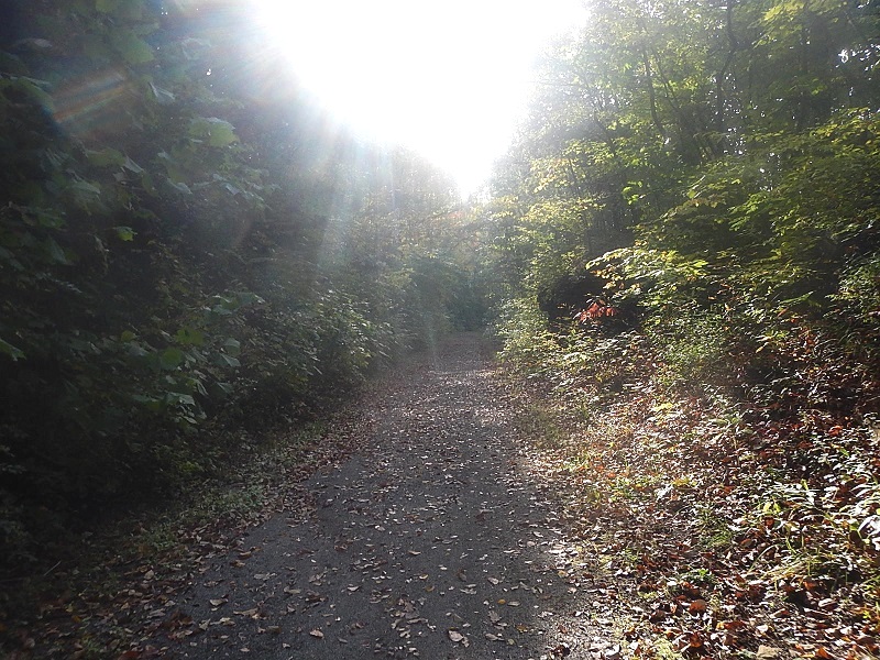 New River State Park Trail