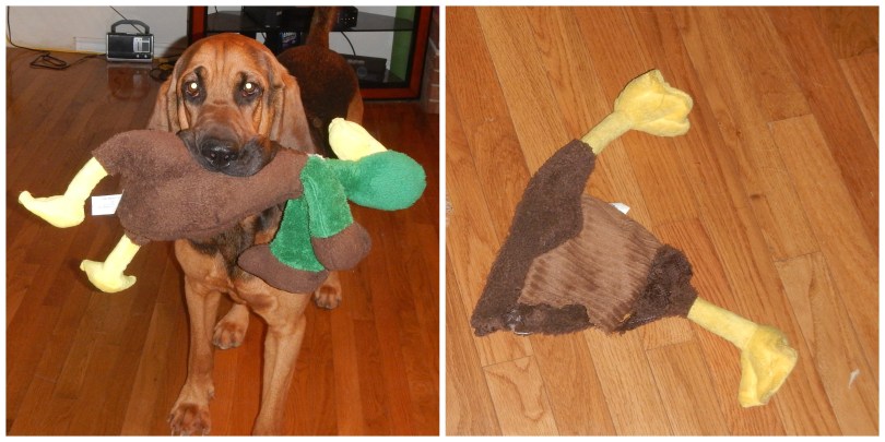 Bloodhound Dog stuffed dog toy