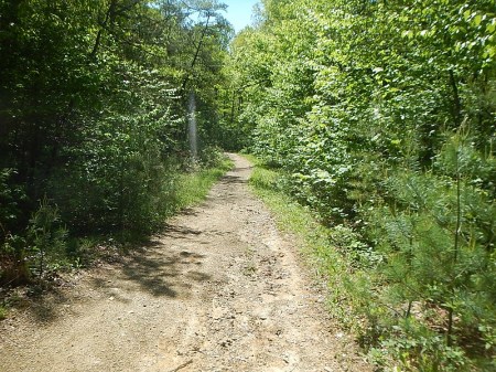Poverty Creek Trail Pandapas Pond