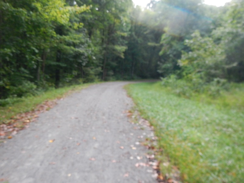 Dora Trail