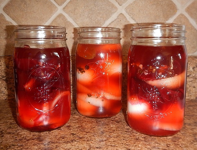 pickled eggs