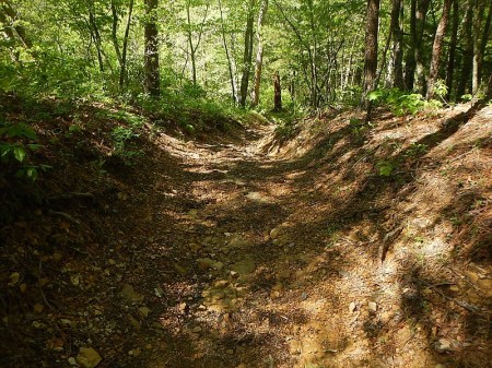 Jacobs Ladder Trail Poverty Creek Trail System Pandapas Pond