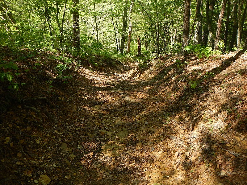 Jacobs Ladder Trail Poverty Creek Trail System Pandapas Pond