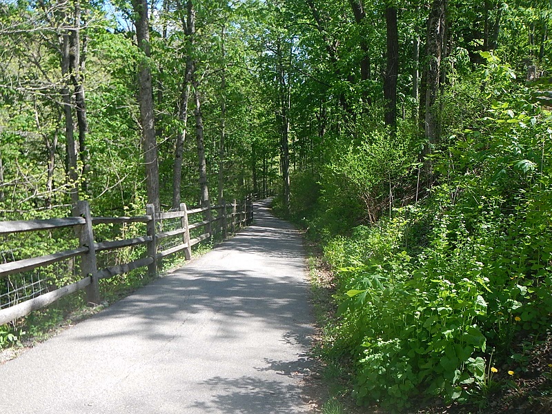 Wildwood Park Trail Radford