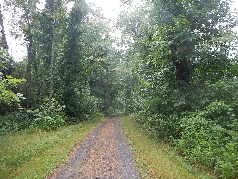 New River State Park Trail