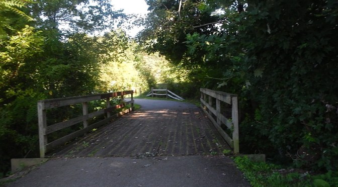 Marine Corps Marathon Training – Week 10