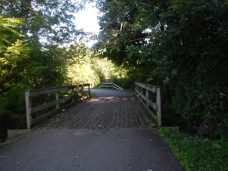 Dora Trail Pulaski