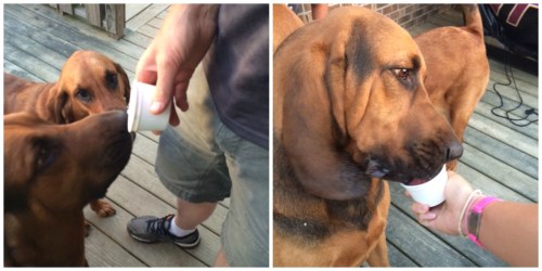 hank birthday Collage